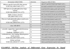 Figure imgf000076_0001
