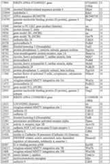 Figure imgf000068_0001