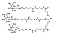 Figure 112108125-A0101-12-0006-205