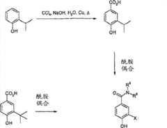 Figure S2006800208056D00602