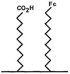 Figure imgf000029_0001