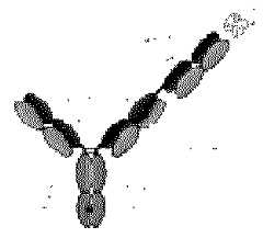 Figure imgf000164_0001