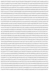 Figure imgf000062_0001