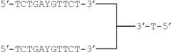 Figure US08202850-20120619-C00075