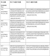 Figure BDA0004089703340001801