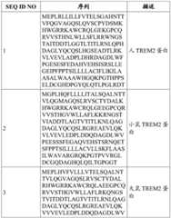 Figure BDA0003765517730000741