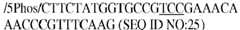 Figure imgb0025