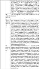 Figure BDA0004033970230005901