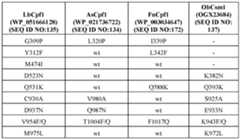 Figure imgf000105_0001