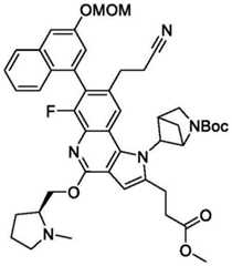 Figure BDA0003993773060002552