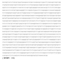 Figure 2022153375000047