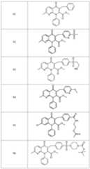 Figure imgf000031_0001