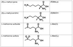 Figure imgf000018_0001