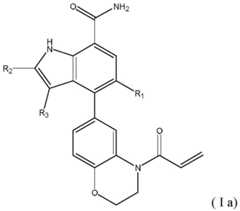 Figure BDA0000699011070000031