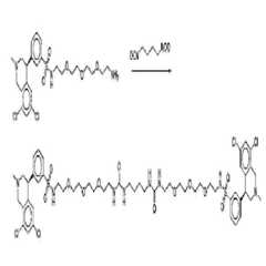 Figure 112011059052603-pct00438