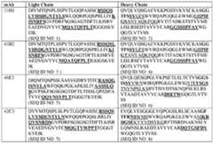 Figure imgf000047_0001