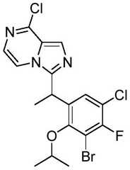 Figure BDA0002087626840001101