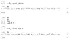 Figure IDA0000491186680000331