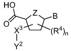 Figure imgf000005_0002