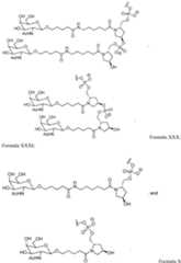 Figure imgf000090_0001
