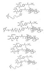 Figure imgf000272_0001