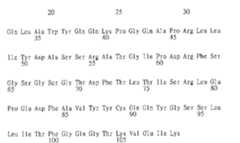 Figure 107118828-A0305-02-0186-239