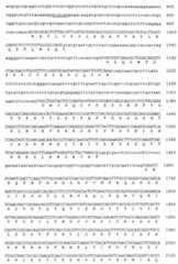 Figure 112002525353199-pct00008