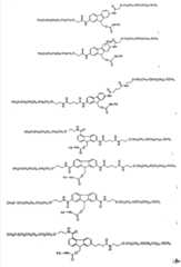 Figure G2007800482799D00251