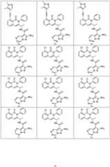 Figure imgf000097_0001