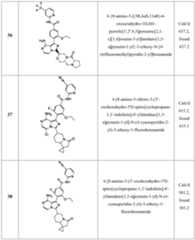 Figure PCTCN2014095770-appb-000077