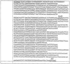 Figure 112005012020318-pct00014