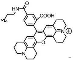 Figure BDA0003670511740000912
