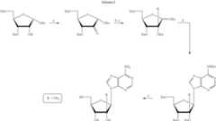 Figure US08299038-20121030-C00042