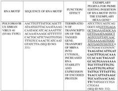 Figure imgf000327_0001