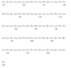 Figure 106103580-A0305-02-0167-24