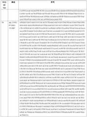 Figure PCTCN2022110545-appb-000049