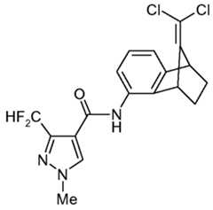 Figure imgf000051_0001