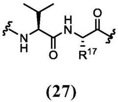 Figure BDA0003131611270000261