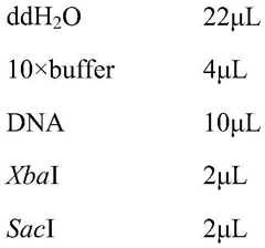 Figure BDA0001211358300000041
