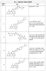 Figure G2007800513551D01061