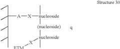 Figure US07014992-20060321-C00041