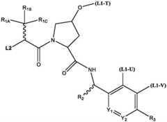 Figure BDA0004113777320000751