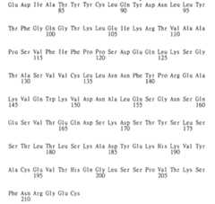 Figure 104128985-A0202-12-0230-273