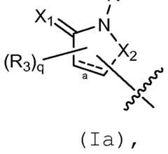 Figure imgf000006_0002
