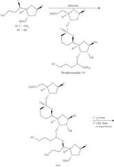 Figure US10221416-20190305-C00083