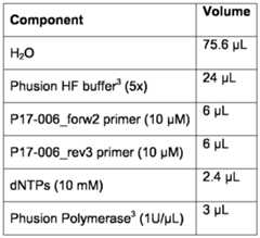 Figure imgf000027_0001