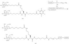 Figure US09957292-20180501-C00352