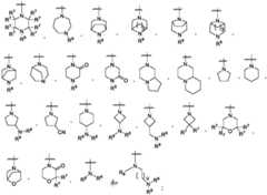 Figure FDA0003508720780000061