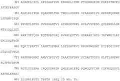 Figure BDA0003627552160000631