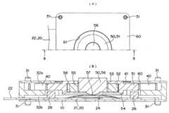 Figure R1020090087015
